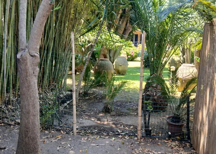 Elena Villa Salernes